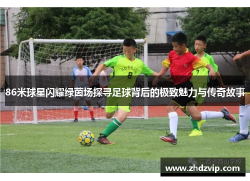 86米球星闪耀绿茵场探寻足球背后的极致魅力与传奇故事
